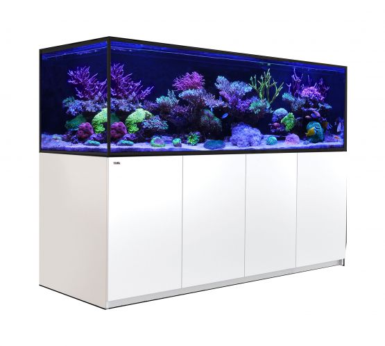 6ft aquarium best sale