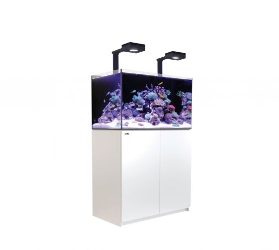 Red Sea Reefer G2+