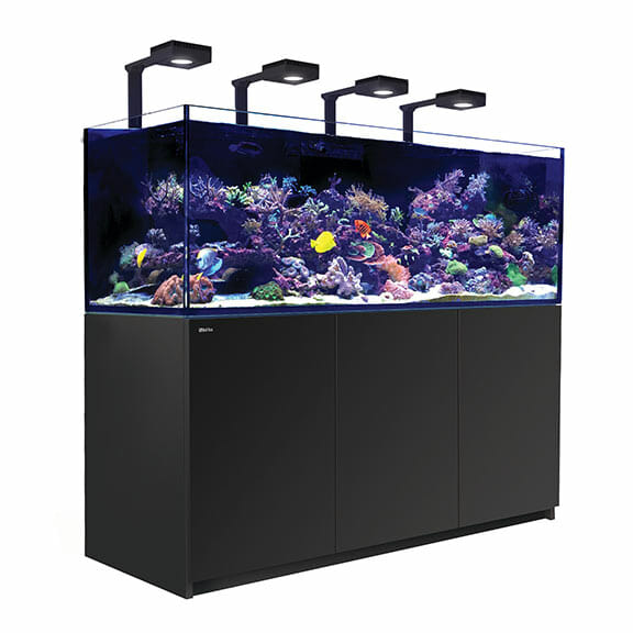 Red Sea Reefer G2+