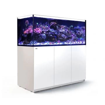 Red Sea Reefer G2+